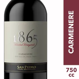 1865 Carmenere, Single Vineyard San Pedro