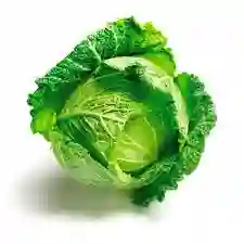 Repollo crespo