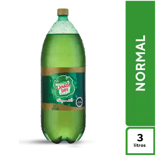 Canada Dry Jengibre Ale 3 l