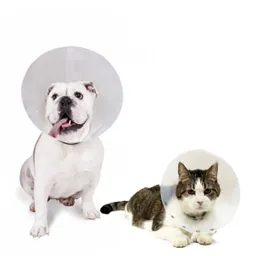 Isabelino Collar Protector de Plástico para Perros y Gatos