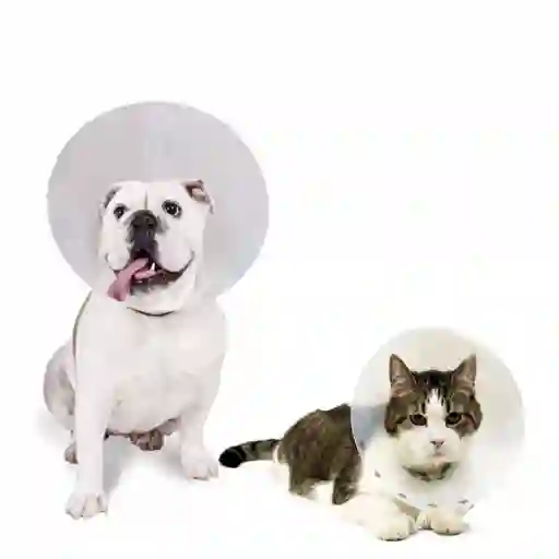 Isabelino Collar Protector de Plástico para Perros y Gatos