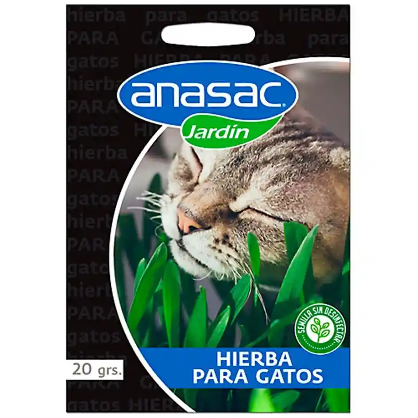 Semilla Hierba Gatos 20 Gramos X 1 Sobre