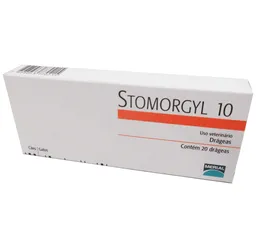 Stomorgyl - 10 X 10 Cm