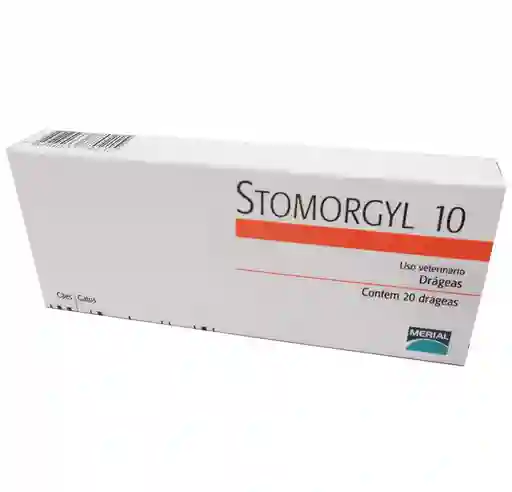 Stomorgyl - 10 X 10 Cm