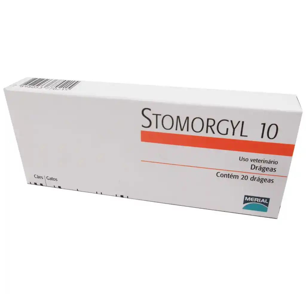 Stomorgyl - 10 X 10 Cm