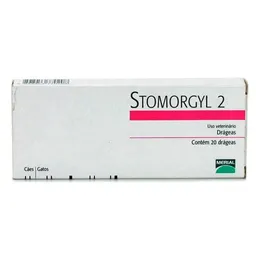 Stomorgyl - 2 X 10 Cm