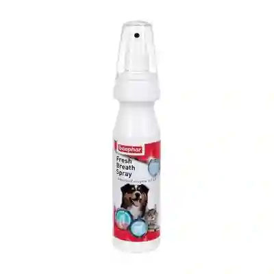 Spray Aliento Fresco Pyg 150 Ml