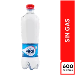 Vital Sin Gas 600 ml