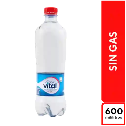 Vital Sin Gas 600 ml