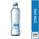 Vital Con Gas 330 ml