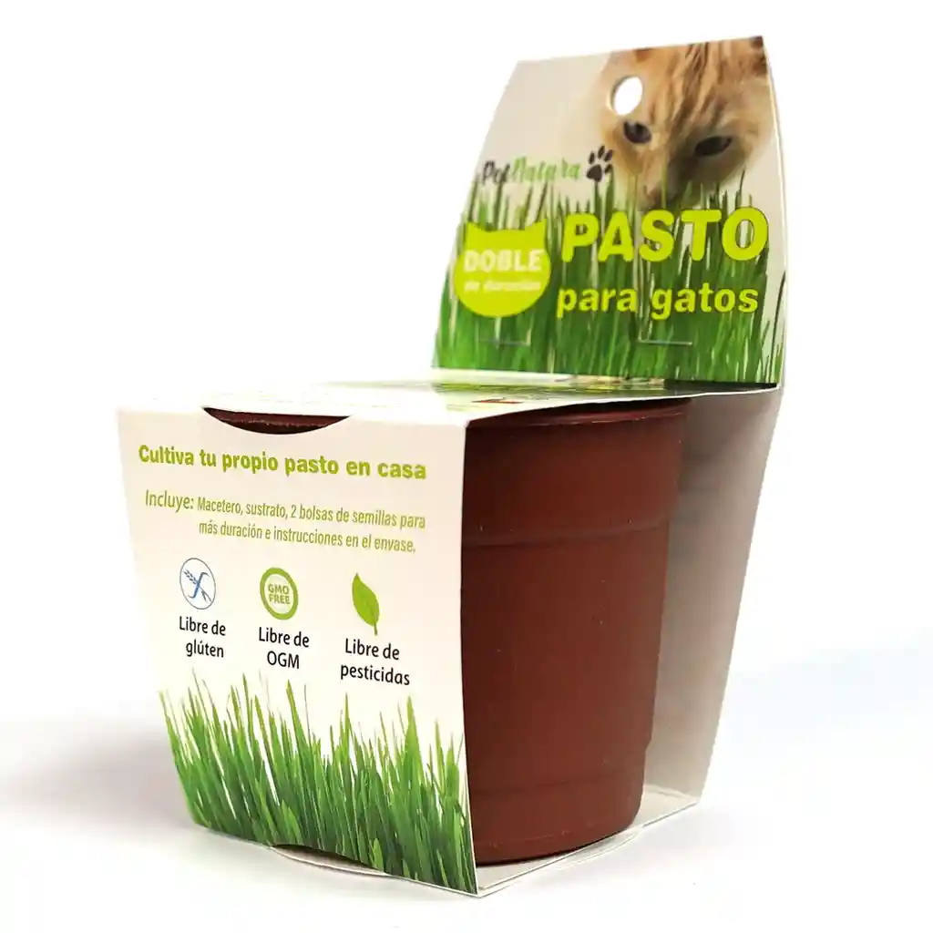 Kit De Pasto Para Gatos 70G