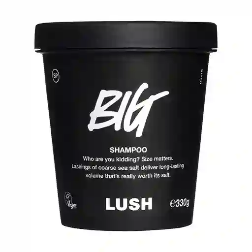Big | Shampoo