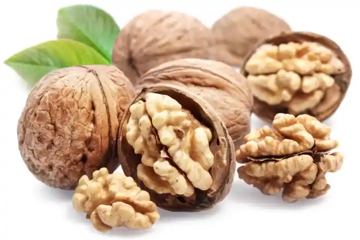 Nueces