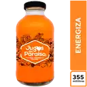 Jugos Del Paraíso Energiza 355 ml