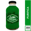 Jugos Del Paraíso Purifica 355 ml