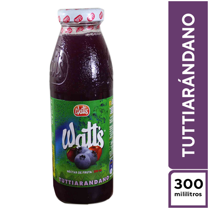 Watt's Tuttiarándano 300 ml