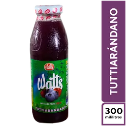 Watt's Tuttiarándano 300 ml