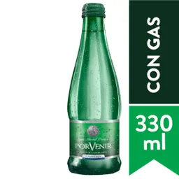 Porvenir Agua Mineral Con Gas