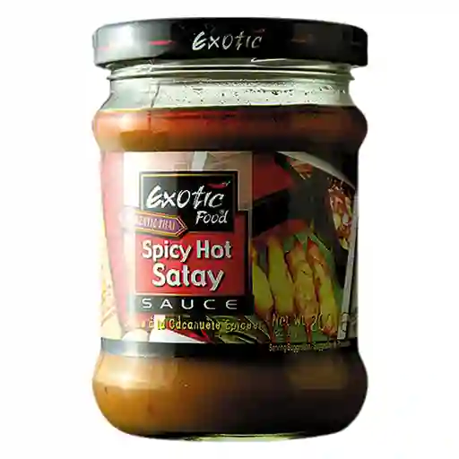 Exotic Food Salsa Satay