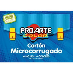 Proarte Bolso Carton Corrugado 6 Colores