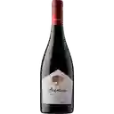 Arboleda Shiraz Viña Errazuriz