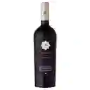 Santa Ema Carmenere Amplus 14°