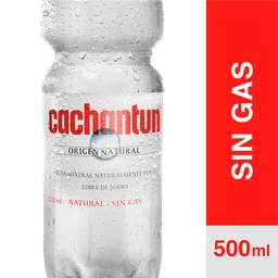 CACHANTUN S/G PET 500cc Cachantun Agua Mineral Sin Gas