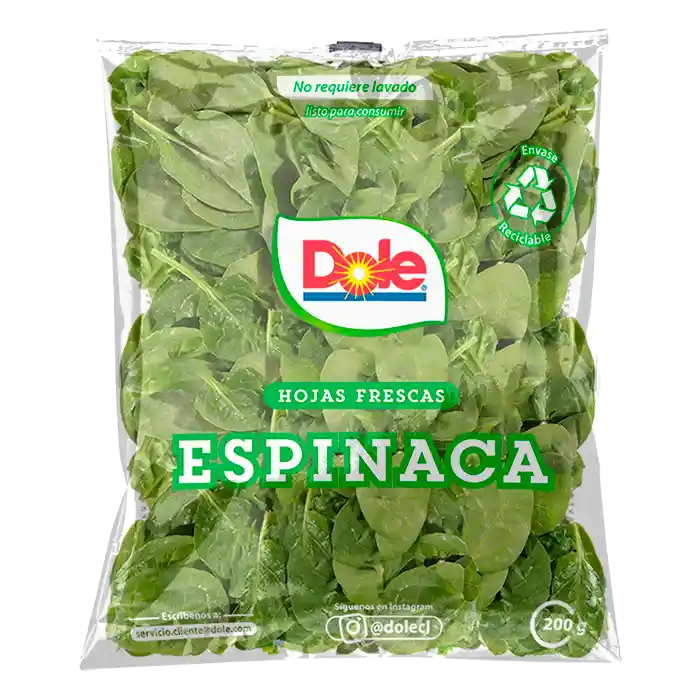 Ensalada Lechuga Escarola