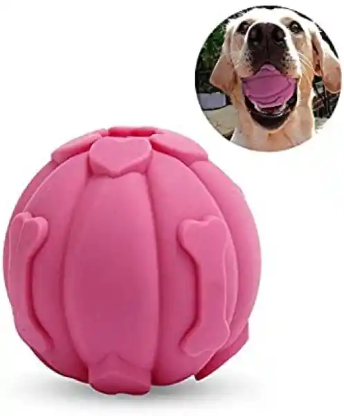 Jug Perro Pelota Latex Si