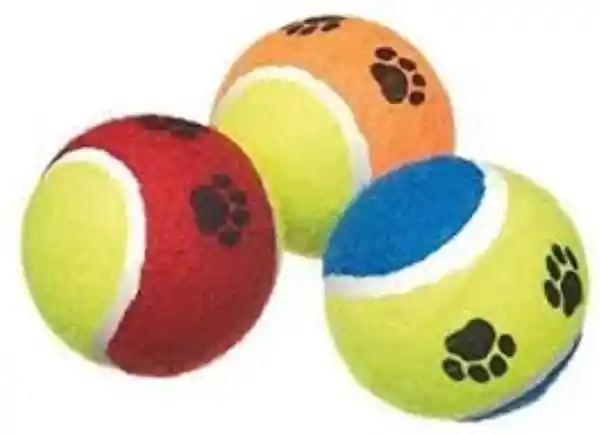 Jug Perro Pelotas Tenis Colores Si