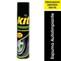 Kit Renovador de Goma para Auto Aerosol #3 360 CC