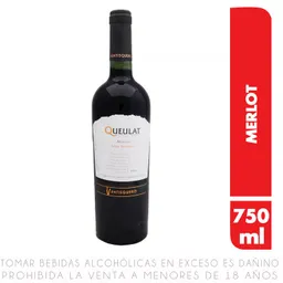 Ventisquero Vino Gran Reserva Merlot 13 5° Gl