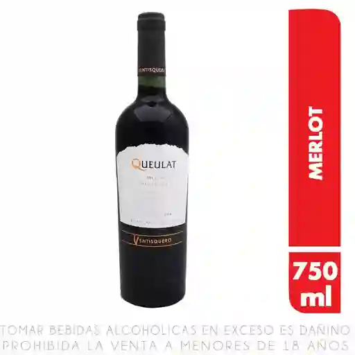 Ventisquero Vino Gran Reserva Merlot 13 5° Gl
