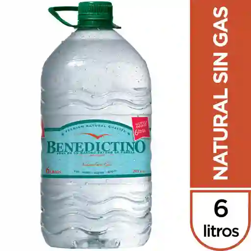 Benedictino Agua Purificada Sin Gas Bidon