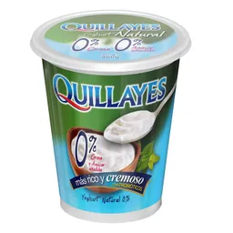 Yoghurt Quillayes Yog Natural 0
