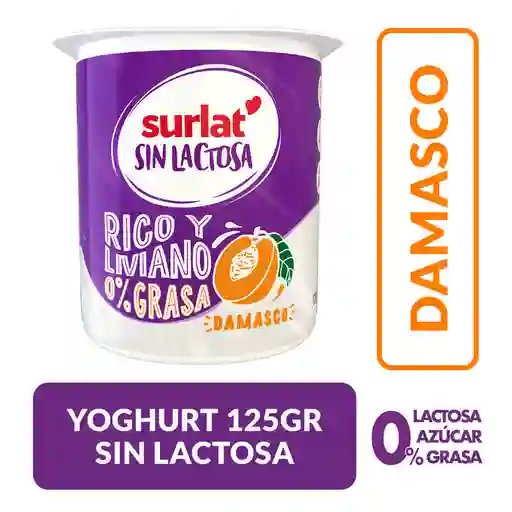 Surlat Yoghurt sin Lactosa Damasco