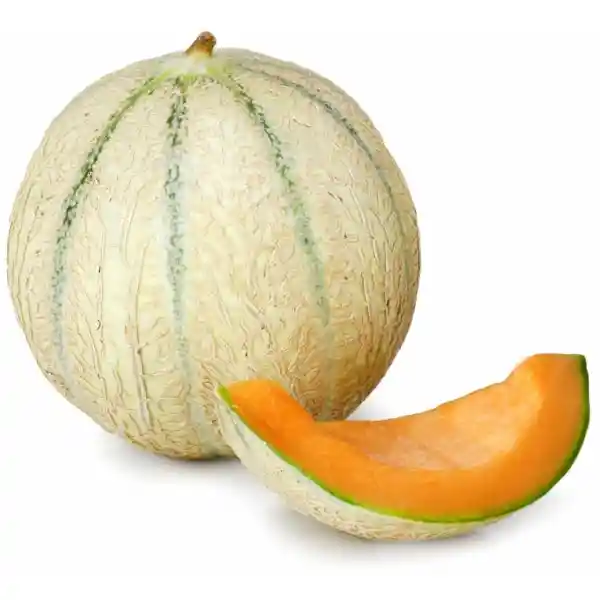 Melón Charentais Un Cal 6