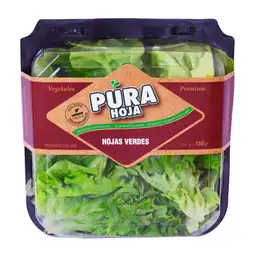 Pura Hoja Hojas Verdes