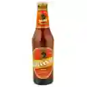 Grassau Cerveza Wallmapu 