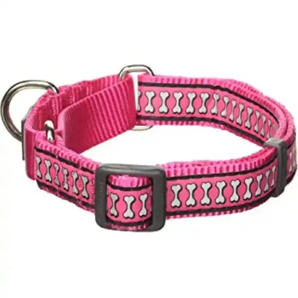 Pets Fun Collar 10Mm17Cm-