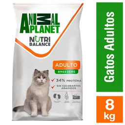 Alimento Gato Adulto