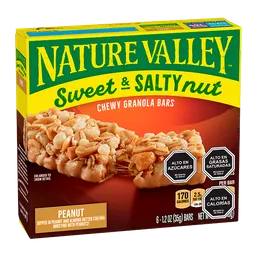 Nature Valley Barra Cereal Sweet And Salty Peanut