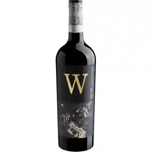 Valdivieso Vino Winemaker Malbec 13 5°