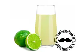 Jugo Natural Limonada 500 ml