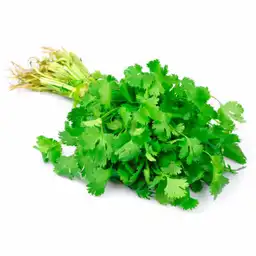 Cilantro unidad