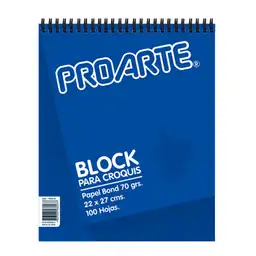 Proarte Croquera 22X27Cm 100Hjs