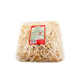 Diente De Dragon Mas Vida