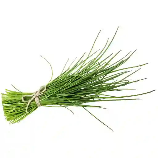 Ciboullette 20 Gd1903