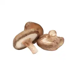 Setas del Huerto Champiñones Shiitake 