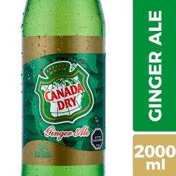 Canada Dry Bebida Ginger Ale 